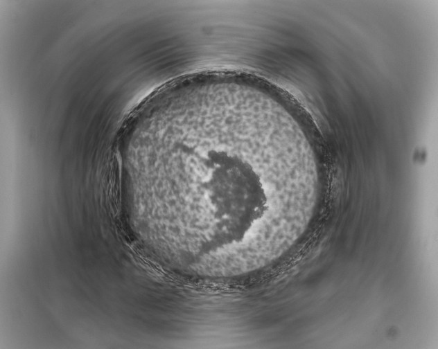 X0000099300871200805161346