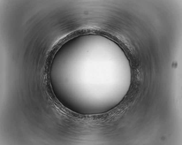 X0000099300872200805161346