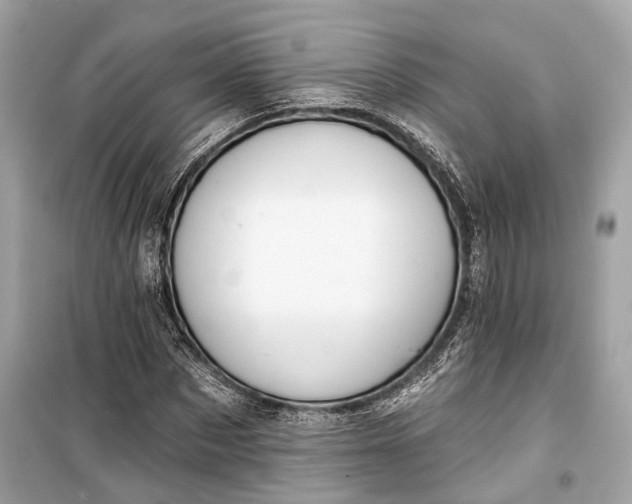 X0000099300873200805161346