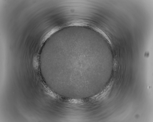 X0000099300874200805161346