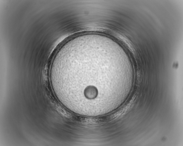 X0000099300875200805161346