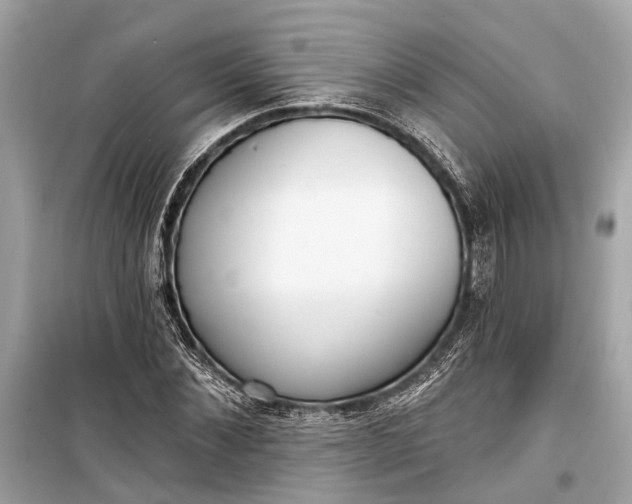 X0000099300876200805161346