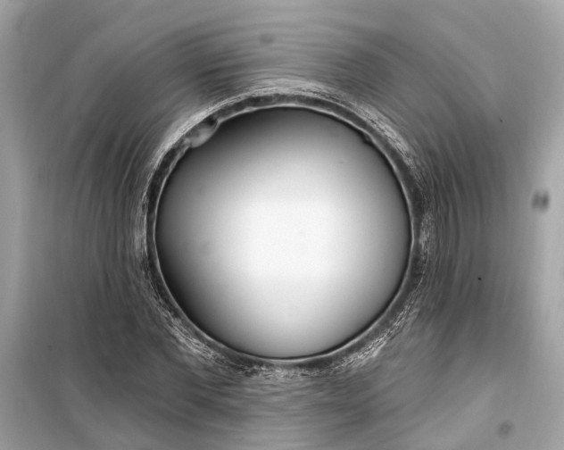 X0000099300877200805161346