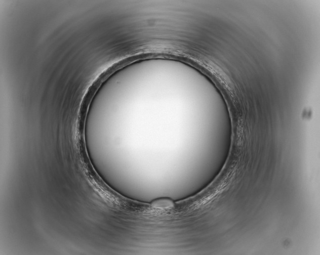 X0000099300880200805161346