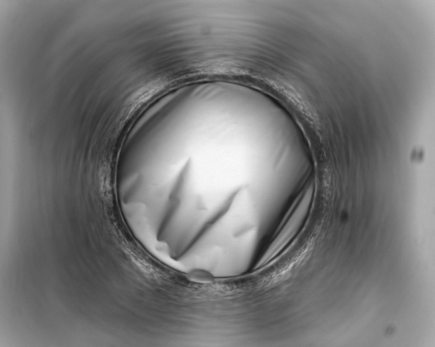 X0000099300881200805161346