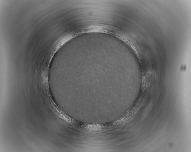 X0000099300882200805161346