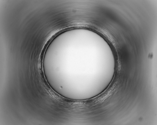 X0000099300883200805161346