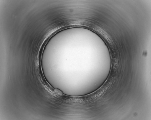 X0000099300884200805161346