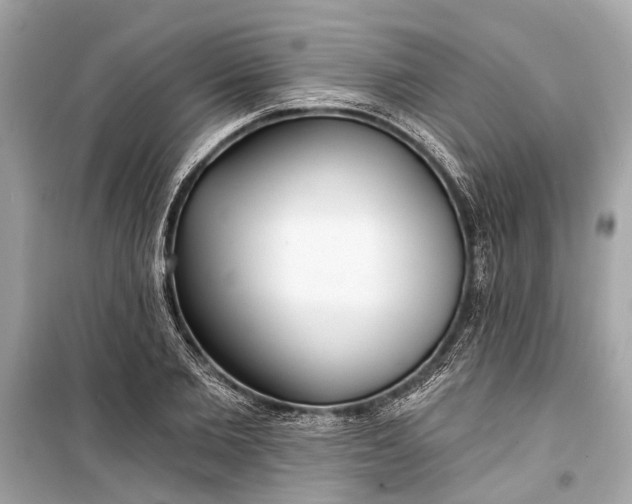 X0000099300885200805161346