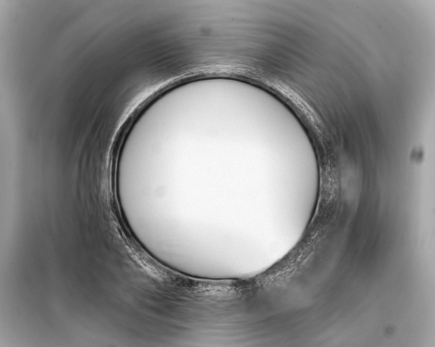 X0000099300886200805161346