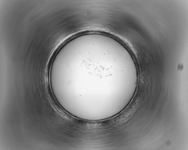 X0000099300887200805161346