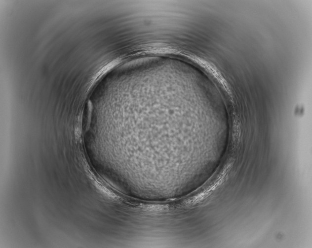 X0000099300889200805161346