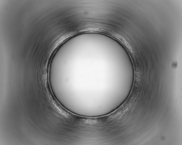 X0000099300890200805161346