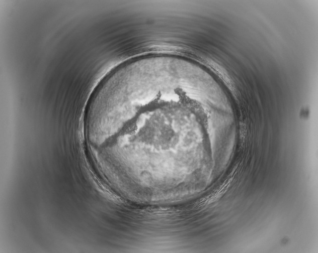 X0000099300891200805161346