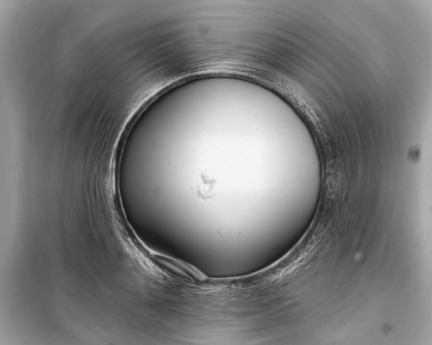 X0000099300892200805161346