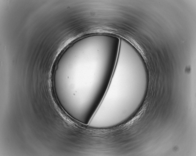 X0000099300893200805161346