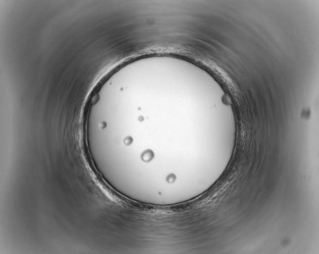 X0000099300894200805161346