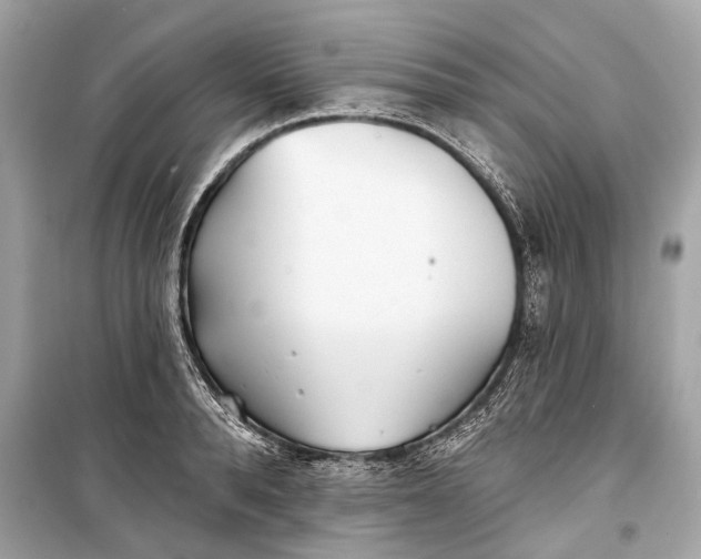 X0000099300896200805161346