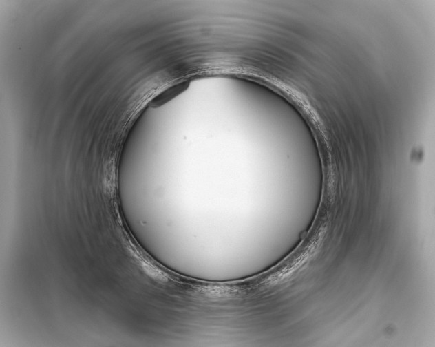 X0000099300897200805161346