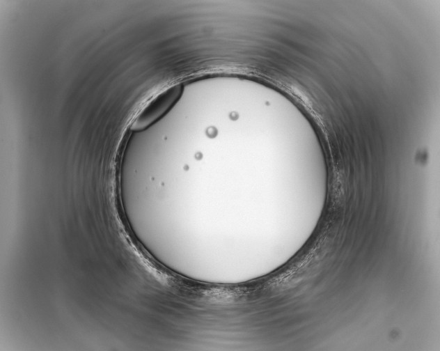 X0000099300898200805161346