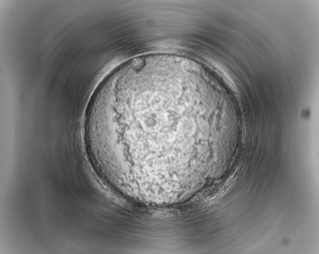 X0000099300899200805161346