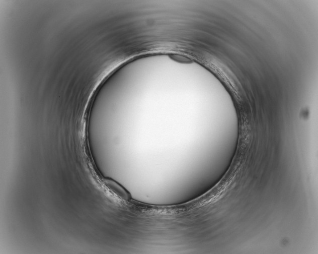 X0000099300900200805161346