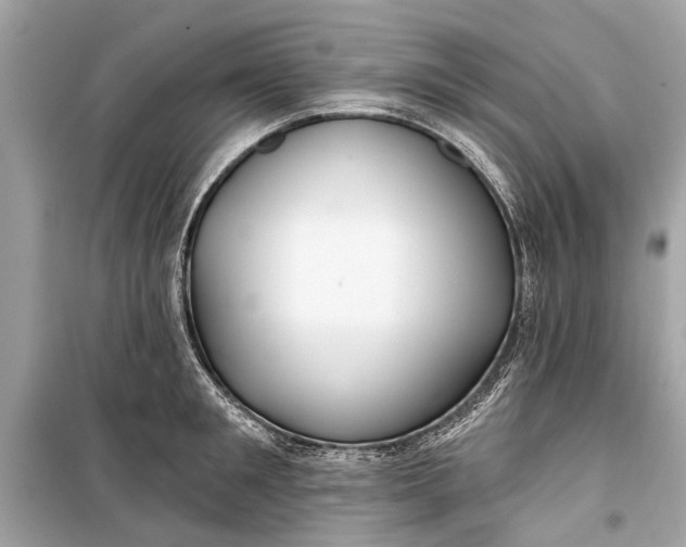 X0000099300901200805161346