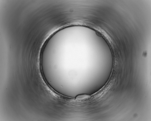 X0000099300902200805161346