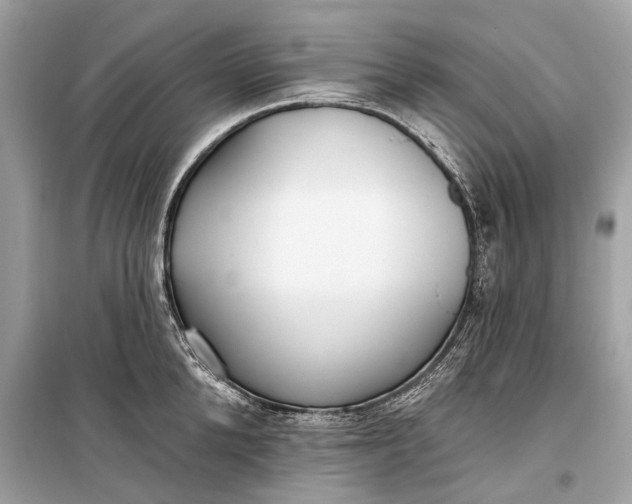 X0000099300904200805161346