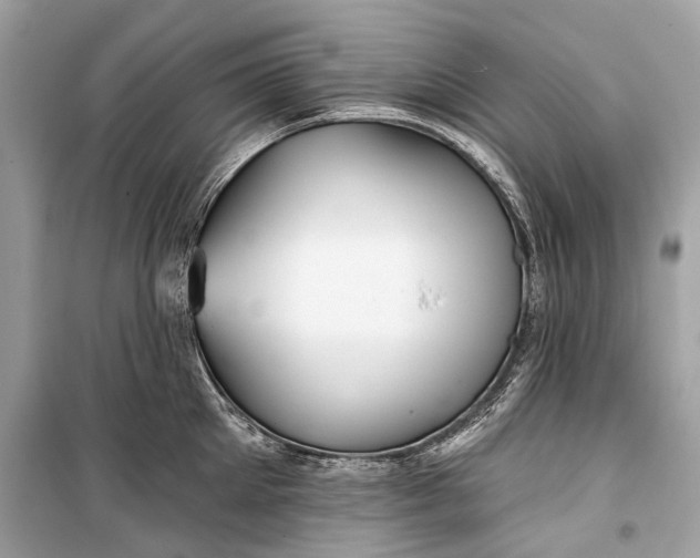 X0000099300905200805161346