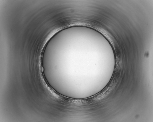 X0000099300906200805161346