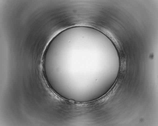 X0000099300908200805161345