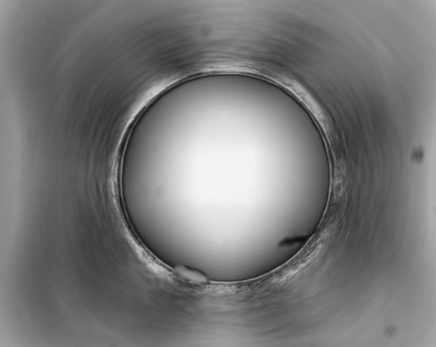 X0000099300909200805161345