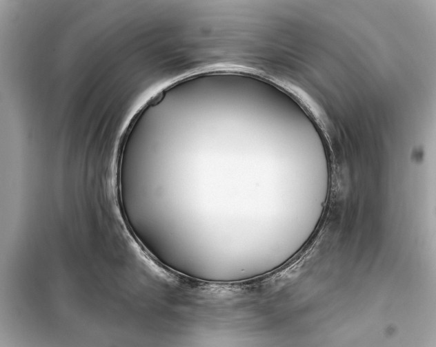 X0000099300910200805161345