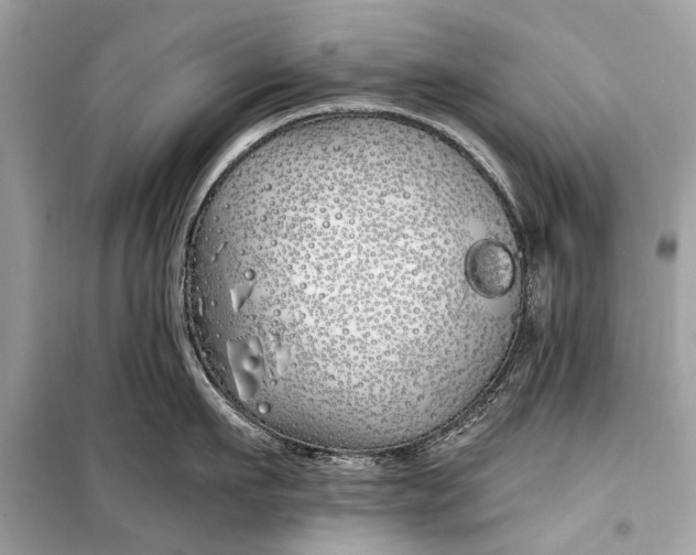 X0000099300911200805161345