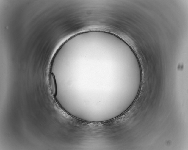 X0000099300912200805161345