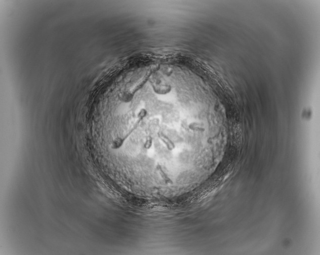 X0000099300913200805161345