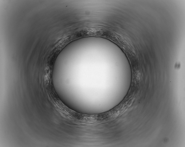 X0000099300914200805161345