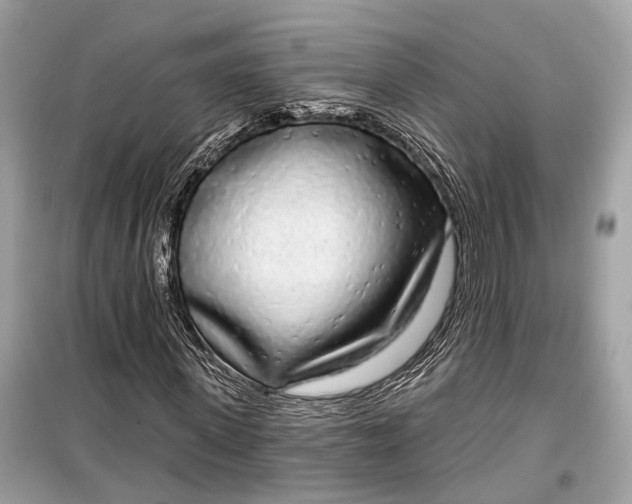 X0000099300915200805161345