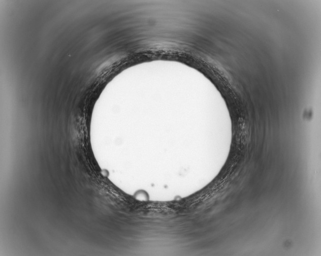 X0000099300918200805161345