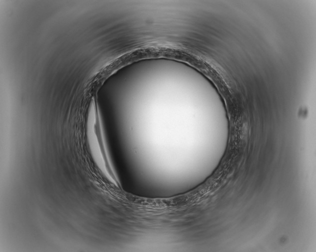 X0000099300919200805161345