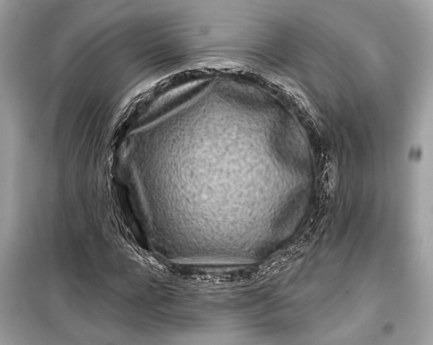 X0000099300920200805161345