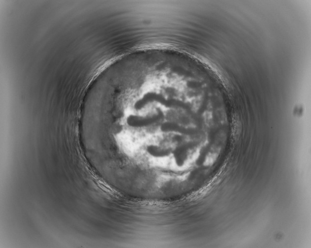 X0000099300921200805161345