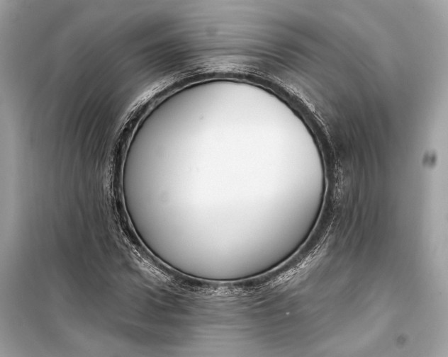 X0000099300922200805161345