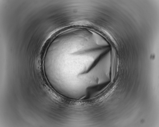 X0000099300923200805161345