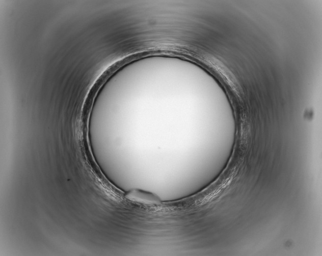 X0000099300924200805161345