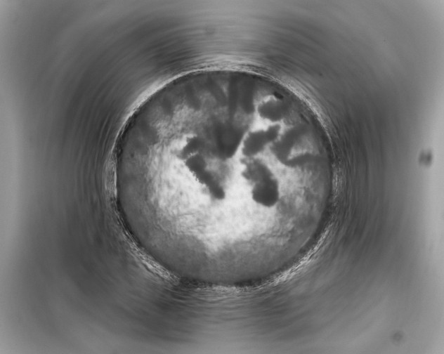 X0000099300925200805161345