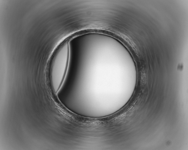 X0000099300926200805161345