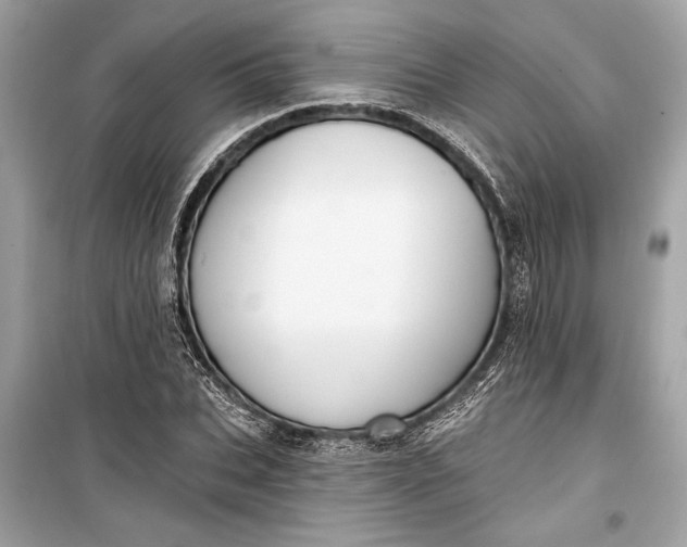 X0000099300927200805161345