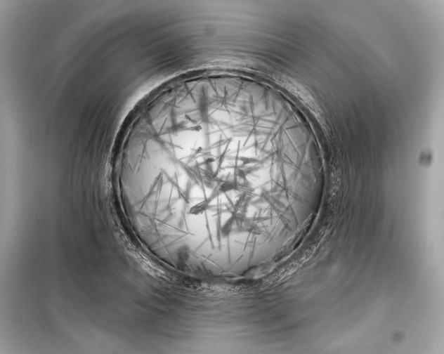 X0000099300928200805161345